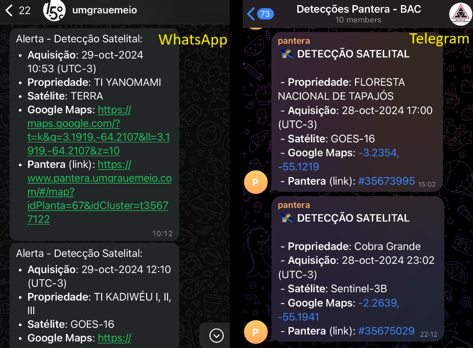 alerta_zap_telegram_com_label.png